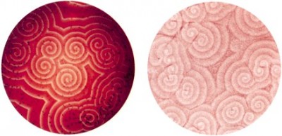 COMPUTADOR QUÍMICO-ORGÂNICO.jpg